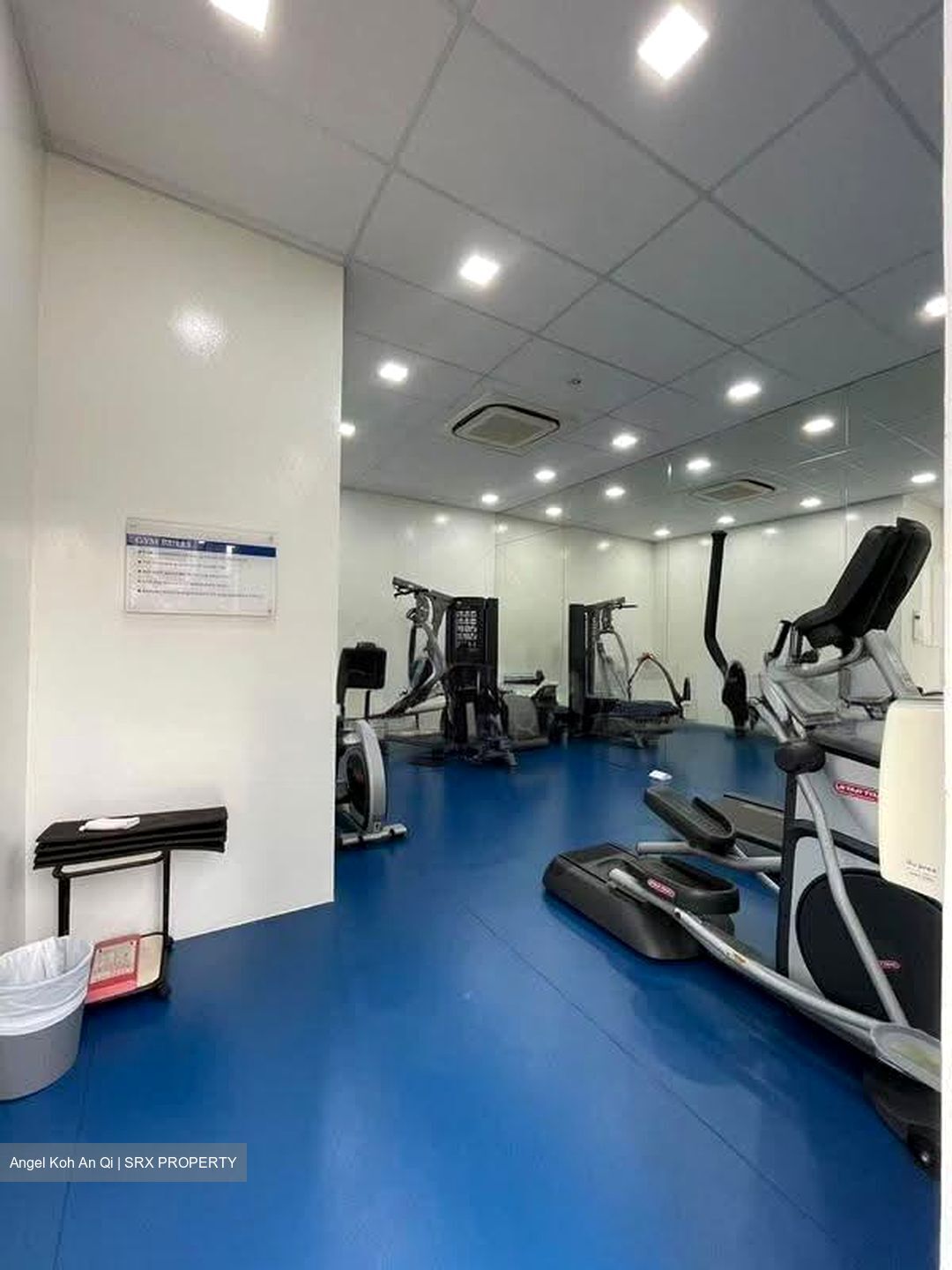 Balmoral Gate (D10), Condominium #611344631
